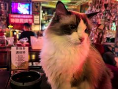 -南京天堂隔壁酒吧