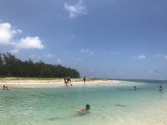 -塞尔夫岛