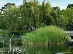 -石湖景区