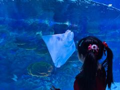 -海合安成都极地海洋公园
