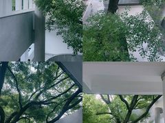 -湖北美术学院(昙华林校区)