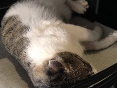 -UNI UNI(环亚凯瑟琳店)