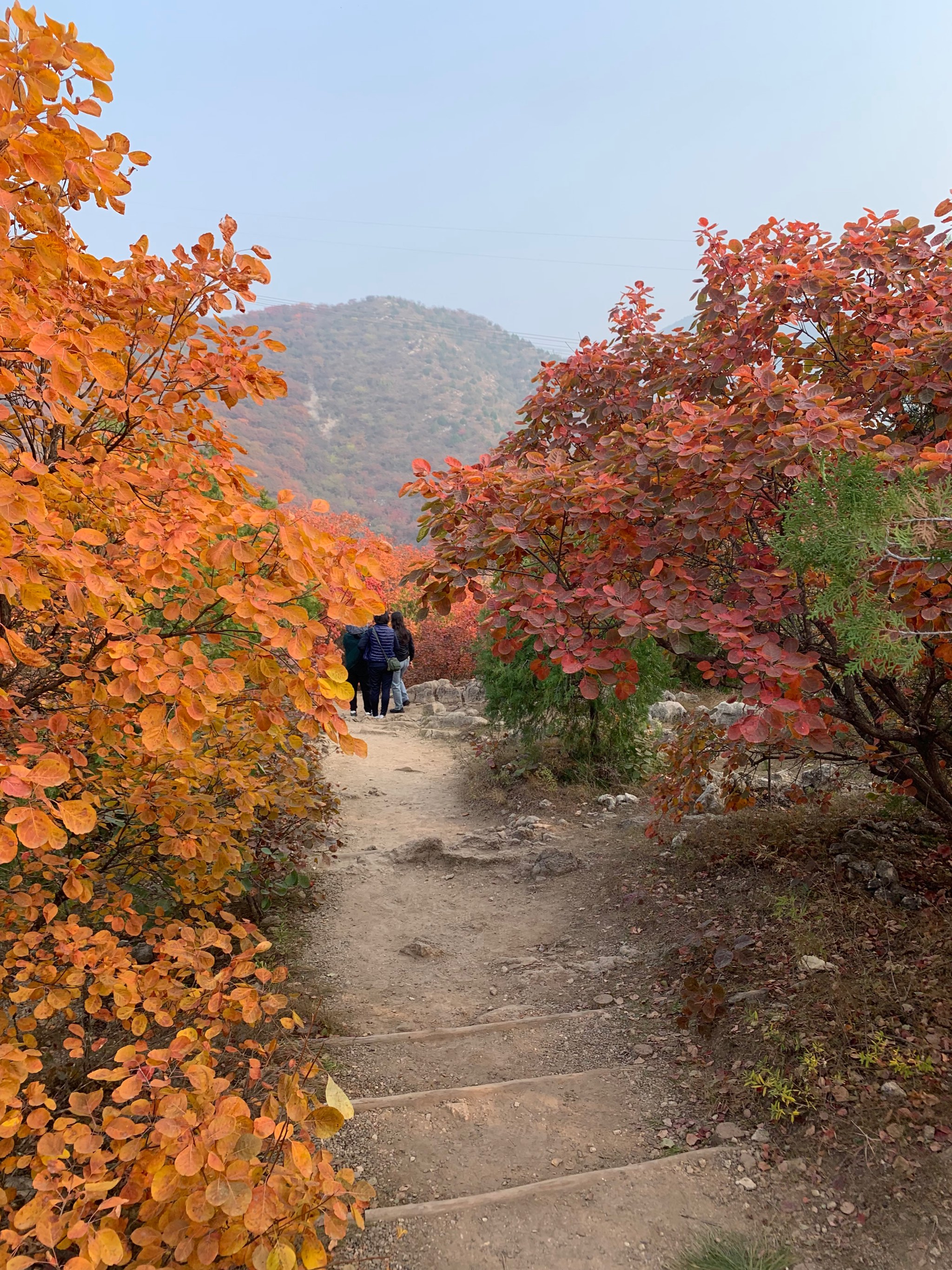 五彩浅山哪个景点最好图片