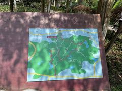 -火炉山森林公园