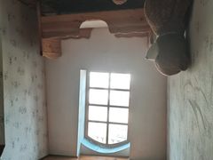 -金山农民画村-枫泾波兰倒置屋