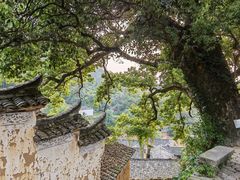 -杨家堂村