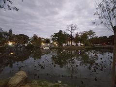-惠州西湖丰渚园