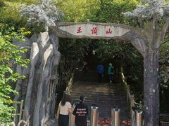 -王顺山国家森林公园