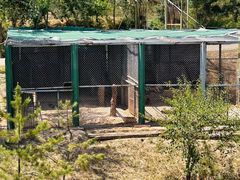 -青藏高原野生动物园