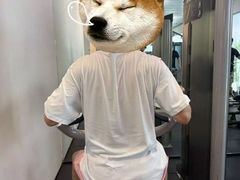 -WEGYMER健萌健身(雅颂居馆)