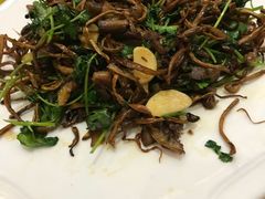 -蔡阿水羊肉店