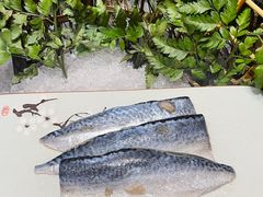 -天津香格里拉大酒店