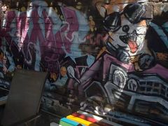 -柴犬高等学院·狗咖·柴犬售卖·宠物训练