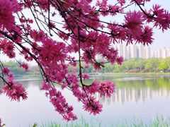 -燕郊植物园