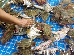 梭子蟹-济南海鲜大市场