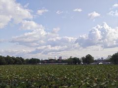 -长春市南湖公园