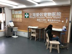 -爱侣宠医·鹦鹉专科·小型哺乳类·异宠专科(灵石路店)