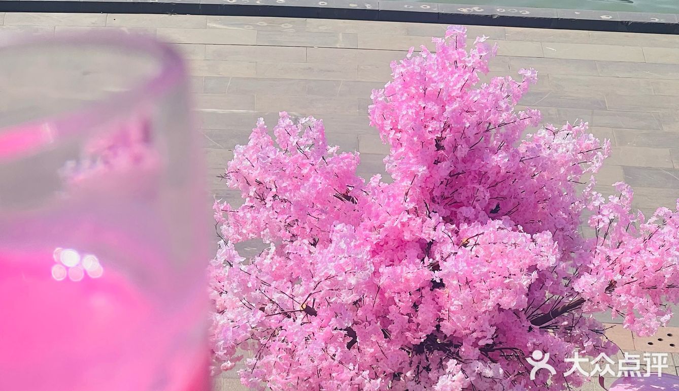春日无锡邂逅一场樱花盛宴