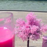 春日无锡邂逅一场樱花盛宴