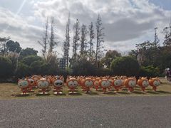 -上海长兴岛郊野公园