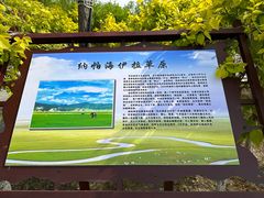 -西青郊野公园