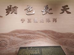 -宁夏博物馆