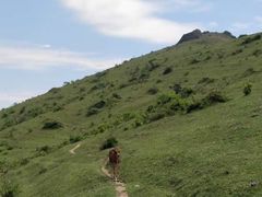 -大姆山草场