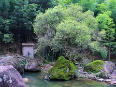 -百杖潭景区