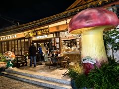 -菌自由丨野生菌火锅特色庭院餐厅(丽江古城店)