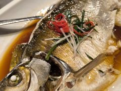 -大中华酒楼·主席武昌鱼·武汉美食地标(江汉路步行街店)