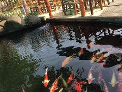 -湖鲜楼