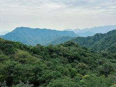 -大岭沟猕猴桃谷风景区