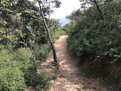 -大岭沟猕猴桃谷风景区