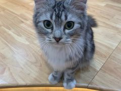 -Rabbit Cafe私房西餐甜点咖啡(栖霞路店)