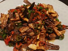 -水木谷养生水汇