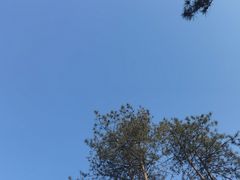 -汉长安城未央宫国家考古遗址公园