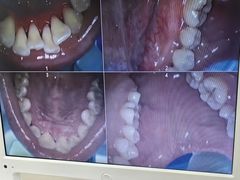 -牙博士口腔品牌连锁(杨浦店)