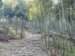-仙霞关景区