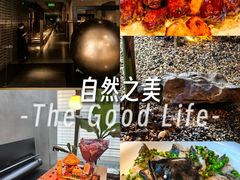 -CHIC1699远洋私厨