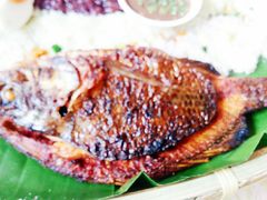 -金塔傣乡·云南民族特色菜·傣味手抓饭(金瓦路店)