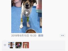 -心语宠物医院·急重症转诊中心·瑞辰华诺(南青路店)