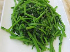 蓬蒿菜-海岛渔村大酒店(云霄路店)
