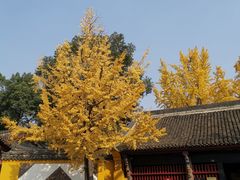 -香园自助小火锅