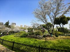 -堤角公园