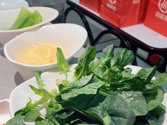 -海底捞火锅(太原南站店)