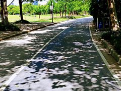 -上海吴淞炮台湾国家湿地公园