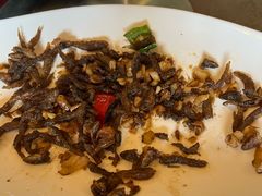 -清水湖度假村(罗浮山美食地标店)