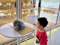 -美联众合动物医院·24h京西诊疗中心
