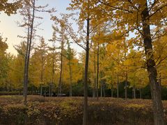 -迎泽公园