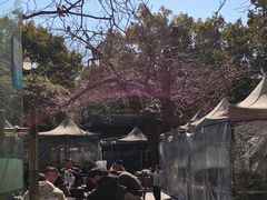 -兴福老面馆(寺路街店)